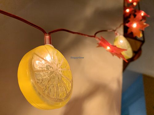 decoration at Botanica in Magdeburg