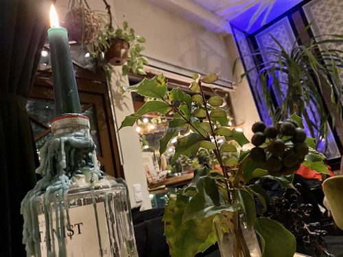 inside at Botanica in Magdeburg