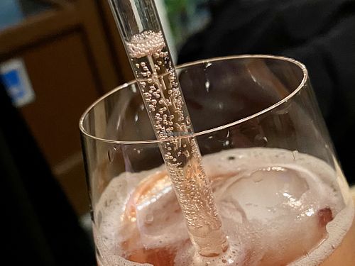 aperitif magic ✨ at Botanica in Magdeburg