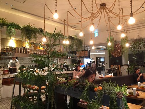 Seating (as seen from the back of the restaurant) at Mr. Farmer - Midtown Hibiya in Tokyo