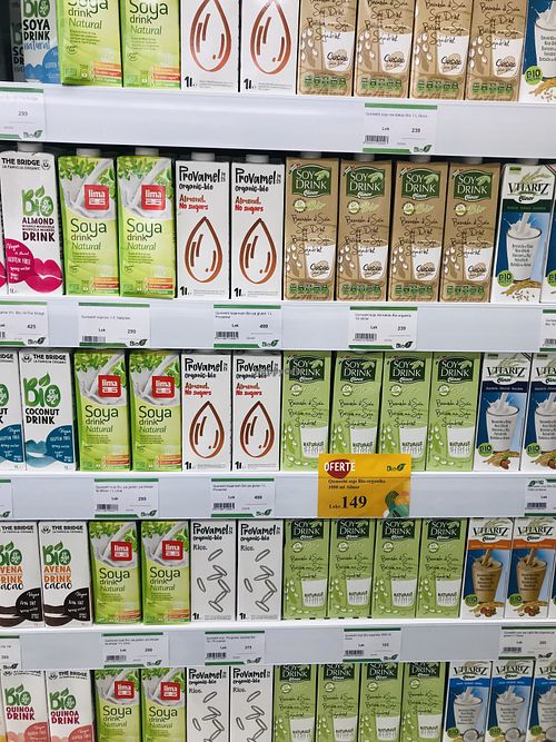 Plant based options  at BioJu in Tirana