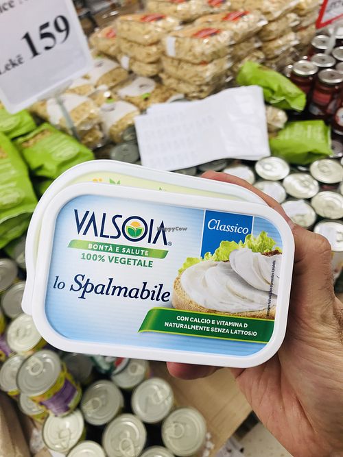 Plant based options  at BioJu in Tirana