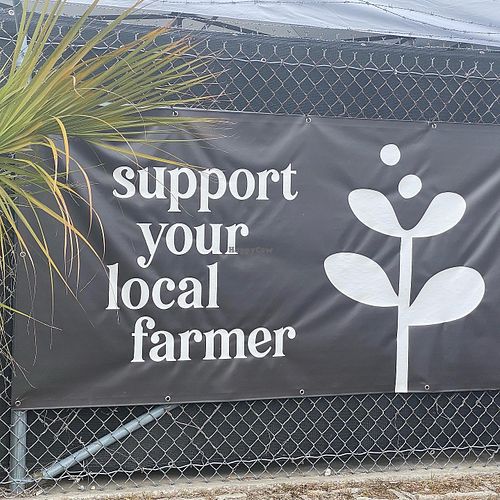 Another  at Golden Dinosaurs in Gulfport