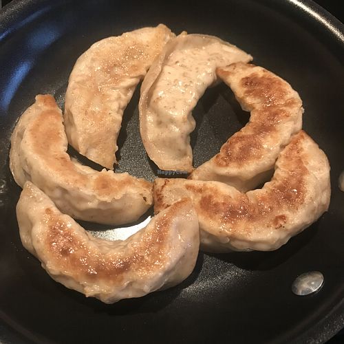 Vegan dumplings in the pan at Chow Maine in Trenton