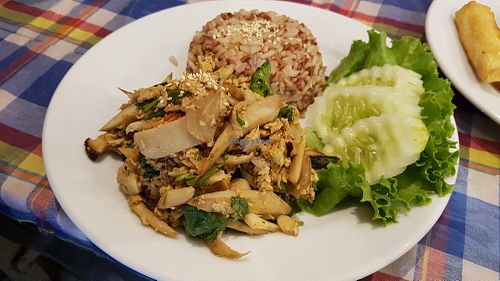 Mushroom laab and rice at May Kaidee in Bangkok