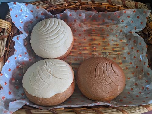 Conchas! at Vegan Bageri in Zapopan