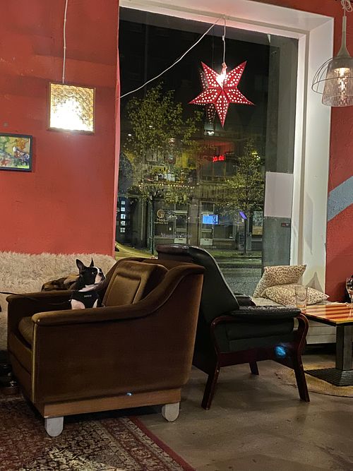 Dog-friendly place at Bar Favela in Helsinki