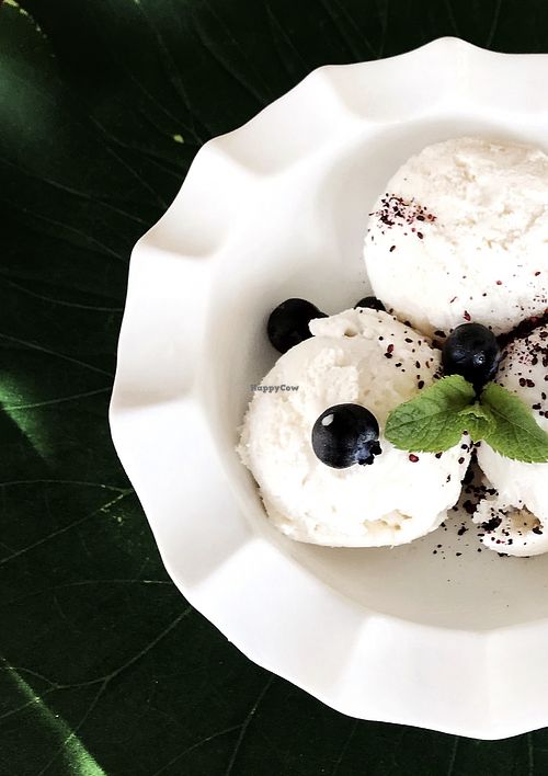 Vegan Sugar Free Ice Cream at Green Food Cafe in Kharkiv