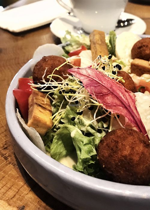 Falafel Salad with Tofu at Green Food Cafe in Kharkiv