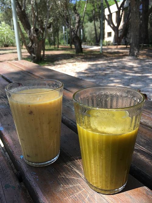 Smoothie and juice of the day at Greens Project in Lisbon
