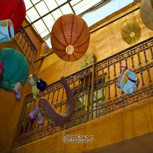  at Earth Cafe - Derb Zawak in Marrakech