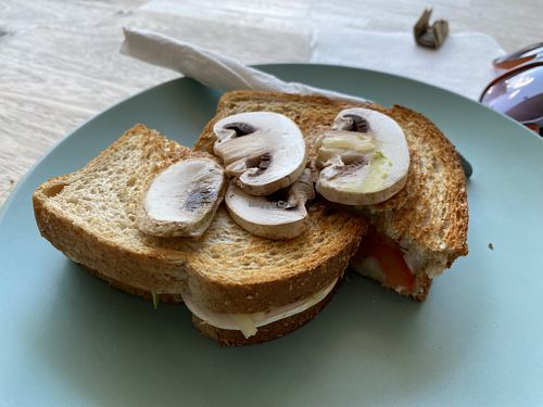 Vegan toasted sandwich with raw mushrooms, no spread and egg mayo! 🤮  at True to the Bean in Katoomba