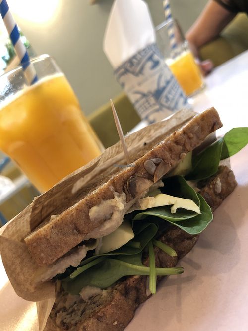Toast with avocado and hummus at Cakester Cafe in Krakow
