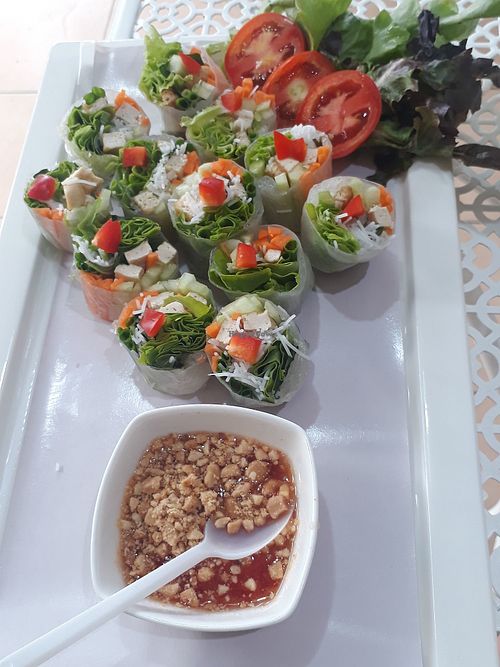 Fresh spring rolls at Freshtime in Chiang Mai