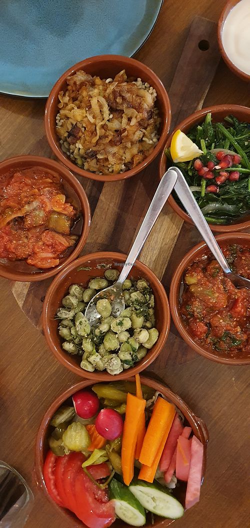 Vegan tasting of all veggie dishes + falafel at Syrisch Eethuis Moushmoush in Arnhem