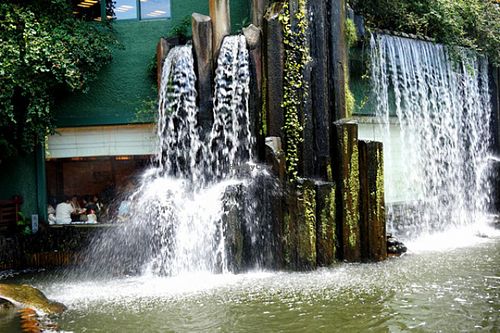 12 at Chi Lin Vegetarian in Kowloon