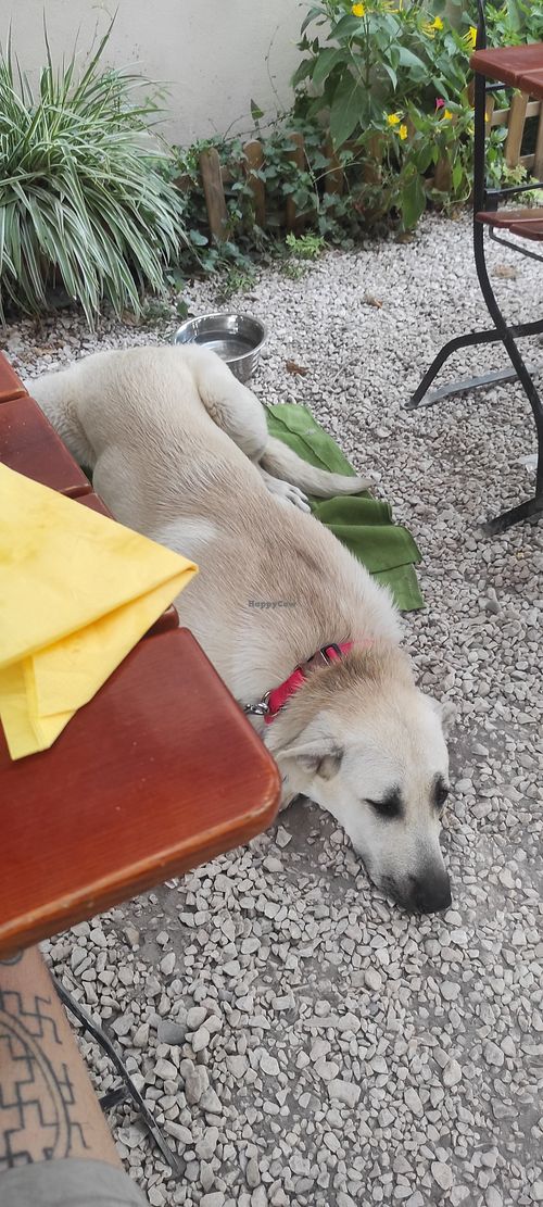  at Le Comptoir Nature in Le Somail