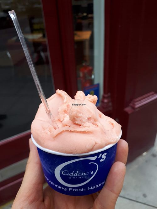 Single scoop of watermelon sorbet in a cup at Oddono's in West London