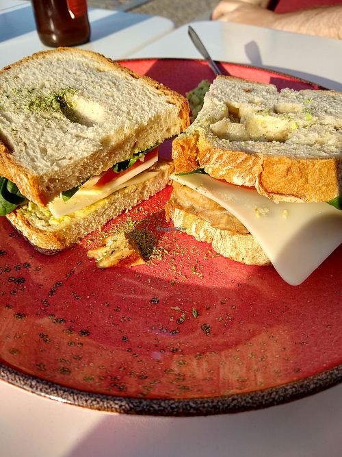 Vegan burger at Veganices in Tavira