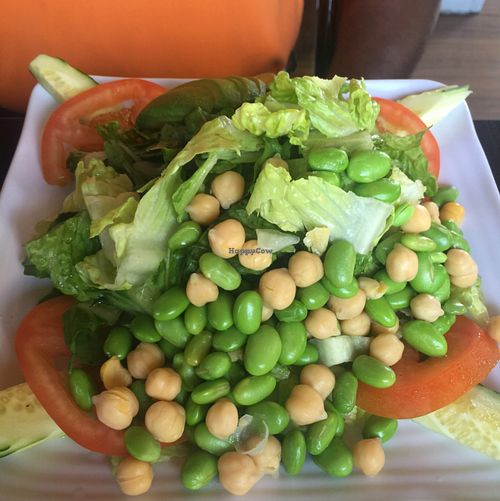 Protein Powered Salad at The Vegan House in Hollywood