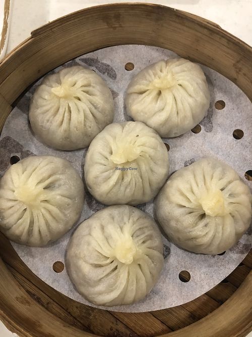 Image of Dancing Dumplings 舞蔬尚饺 - Wǔ Shū Shàng Jiǎo - temporarily closed