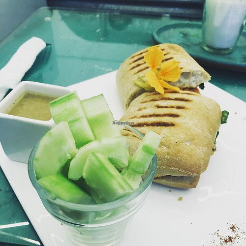 Hummus panini at Acai Antigua in Antigua