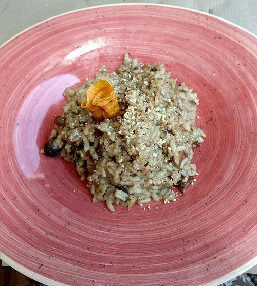 Mushroom risotto! at Sa Garrofa in Begur