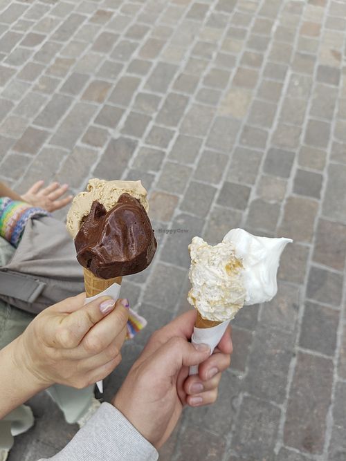 Sehr leckeres, handgemachtes veganes Eis at Sagapo Gelateria in Spotorno