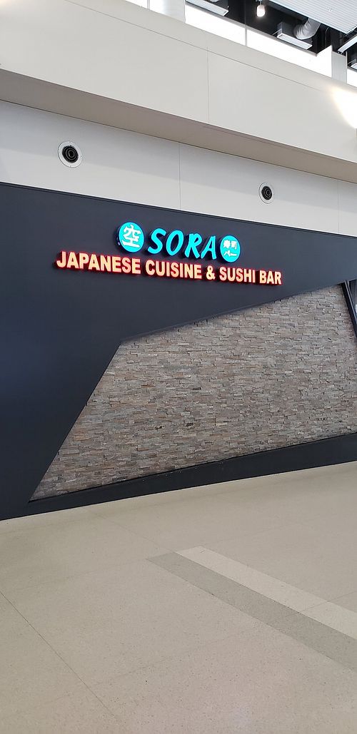 Near Gate 35 at DTW - Sora - McNamara Terminal in Romulus