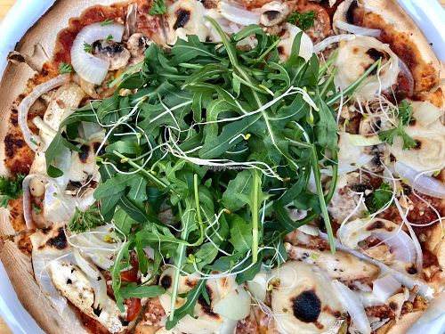 shroom pizza at Noah's Restaurant in Mainz