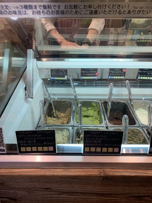 Only 1/3 of the vegan options  at Premarché Gelateria in Tokyo