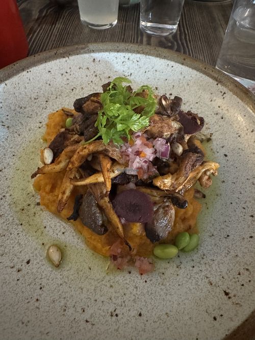   at Checa in Stockholm
