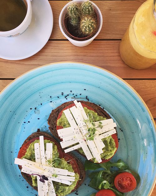 Avocado toast with vegan cheese at No Piqui - Calatrava in Sevilla