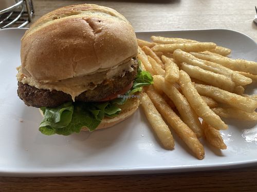   at Evergreen Eatery in Jamaica Plain