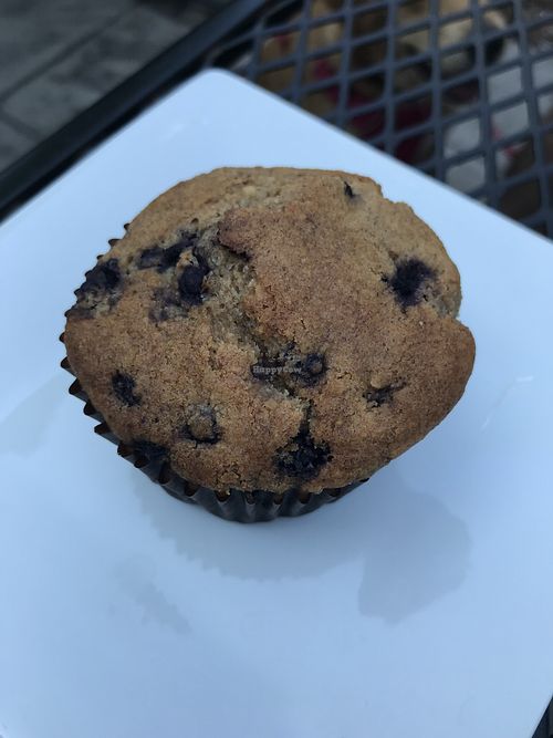 Vegan blueberry muffin  at Evergreen Eatery in Jamaica Plain