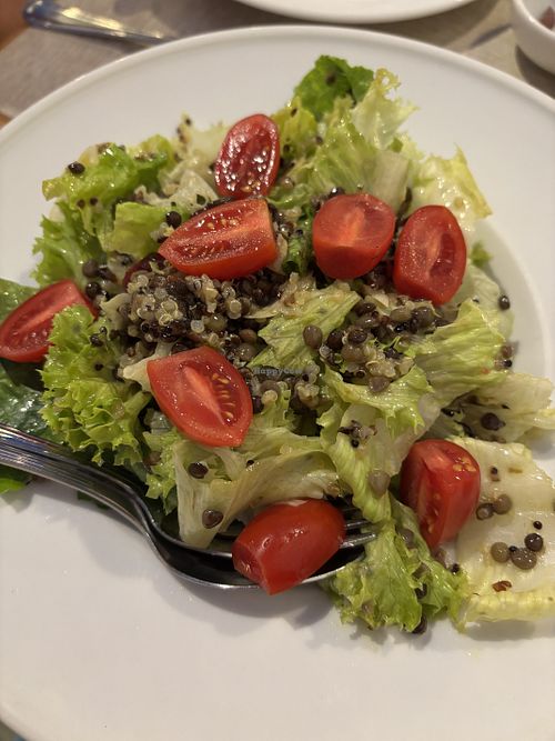 Chic salad   at Restaurant Chi - To Sik in Folegandros