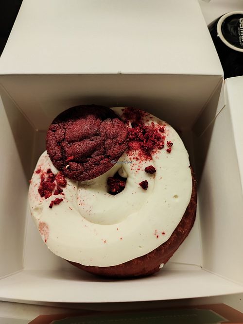 Doughnut Time - Pop Up