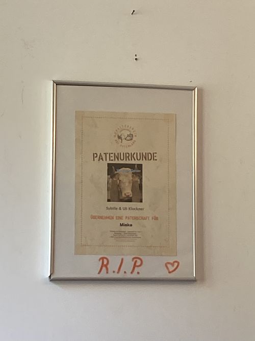 Happy cow  at Café Loyal in Siegburg