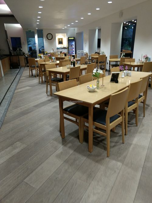 Chilled at Lazy Lettuce in Edinburgh