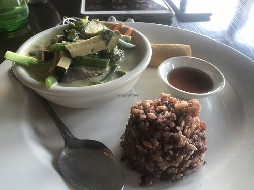 Green curry w/ spy fish, Spring roll, rice at Lotus Vegan in North Hollywood