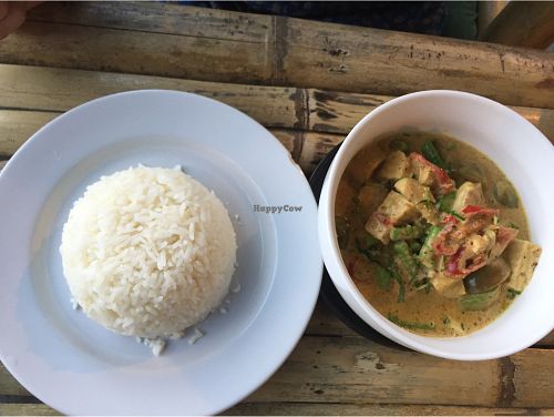 Vegan green curry with tofu and veggies  at Bee's Kitchen in Koh Phangan
