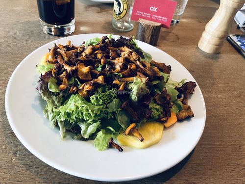Salad with chanterelles  at Ox in Heitersheim