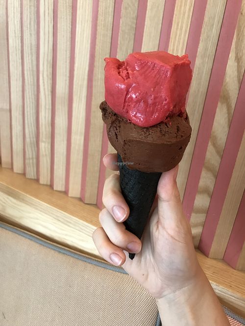 Chocolate and raspberry sorbets at gecobli in Munich