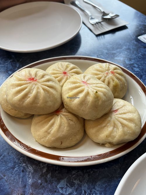 Veggie Momos  at Cafe Shambala in Salt Lake City