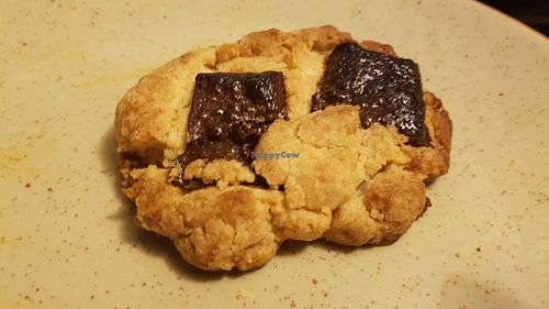 Cookie at Des graines et du carton in Toulouse