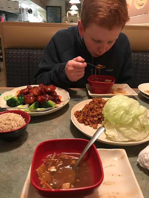 We always get the hot and sour! at Lotus Vegetarian in Chantilly