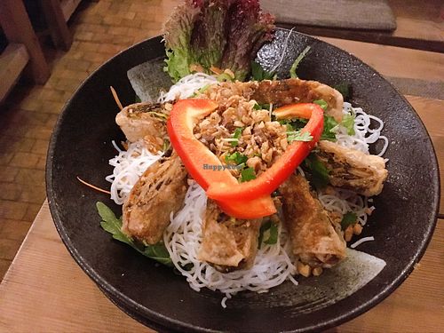 noodles & spring rolls at Viet Village in Leipzig