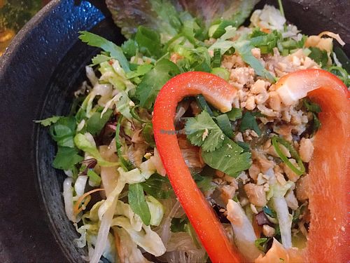 salad at Viet Village in Leipzig