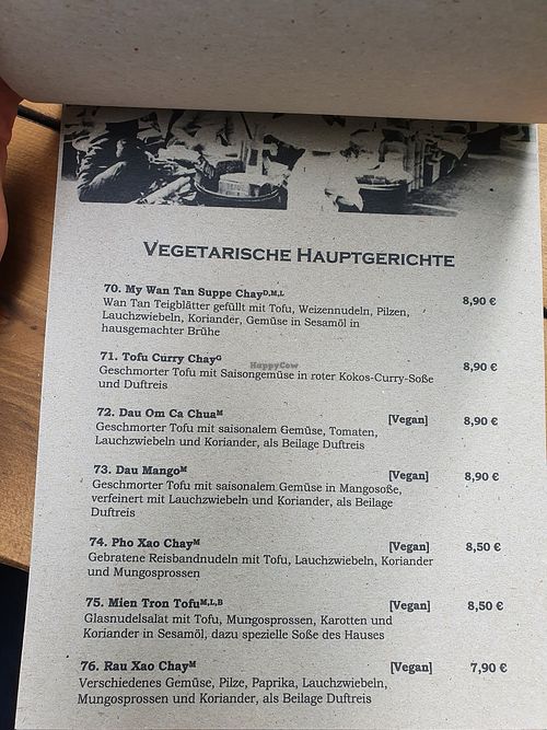updated vegan menu at Viet Village in Leipzig