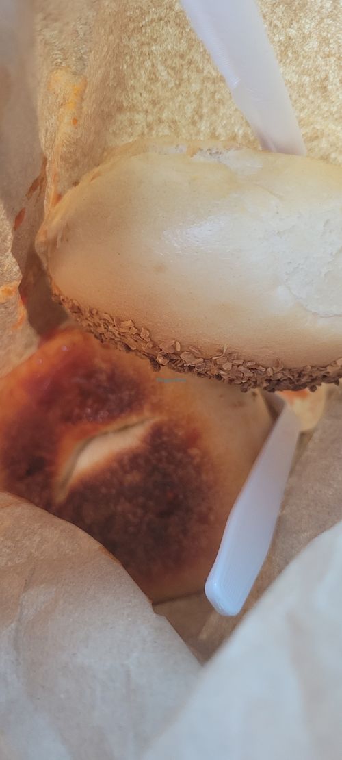 Vegam bagels! Onion and garlic at Biff's Bagels in Flagstaff